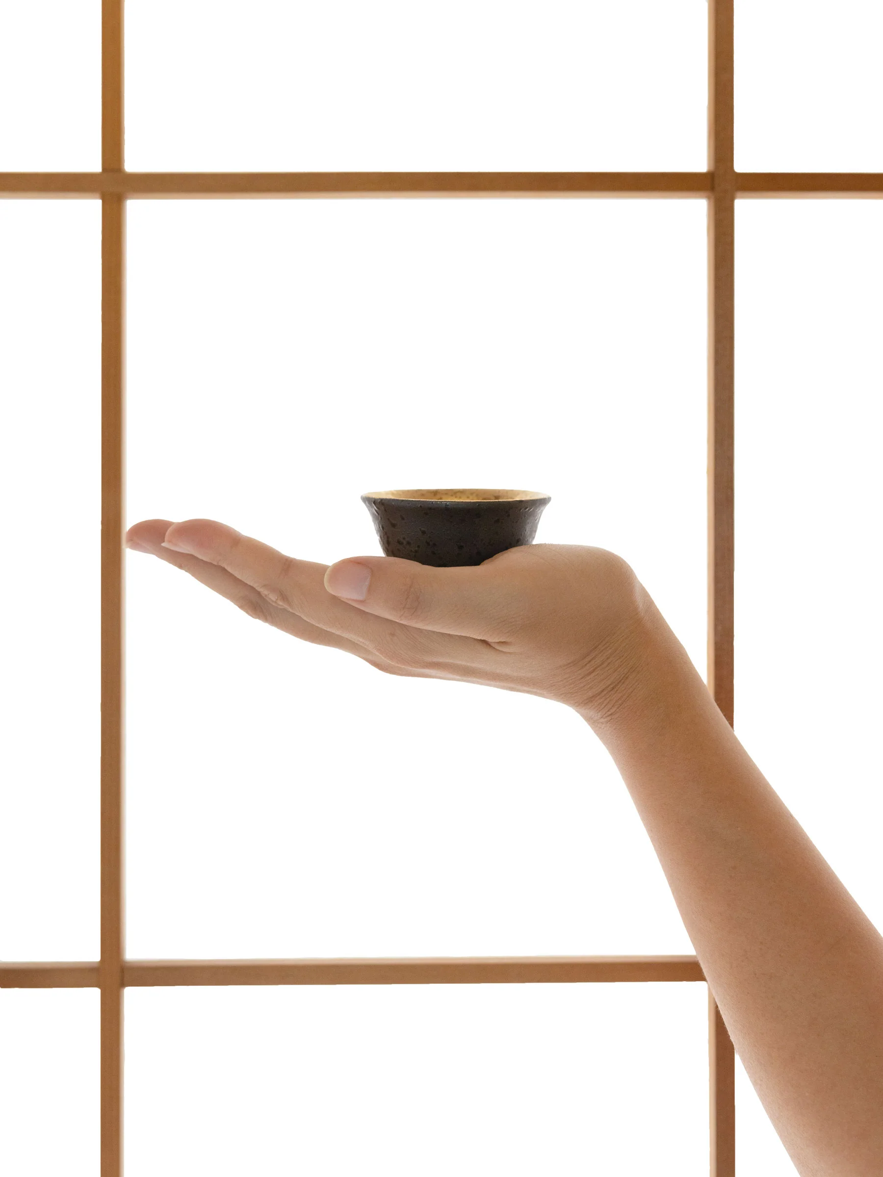 Black Kinmaki Mino Ware Japanese Sake Set by Yamai - Image 15