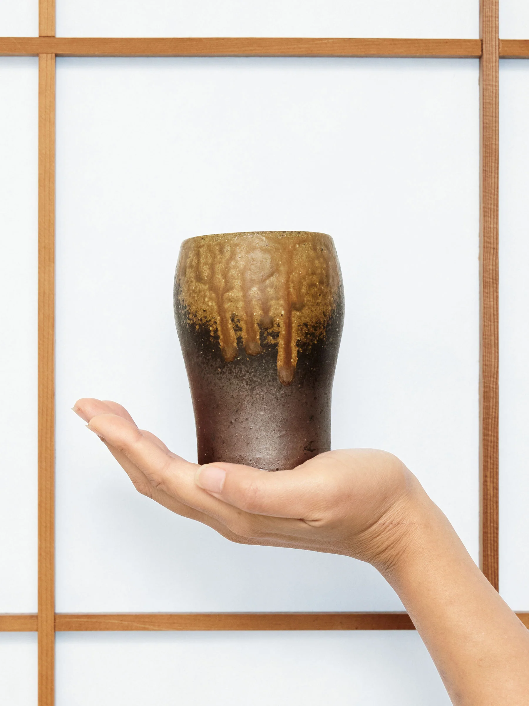 Goma Bizen Ware Beer Mug Set by Hozan (11 fl.oz/320ml) - Image 7