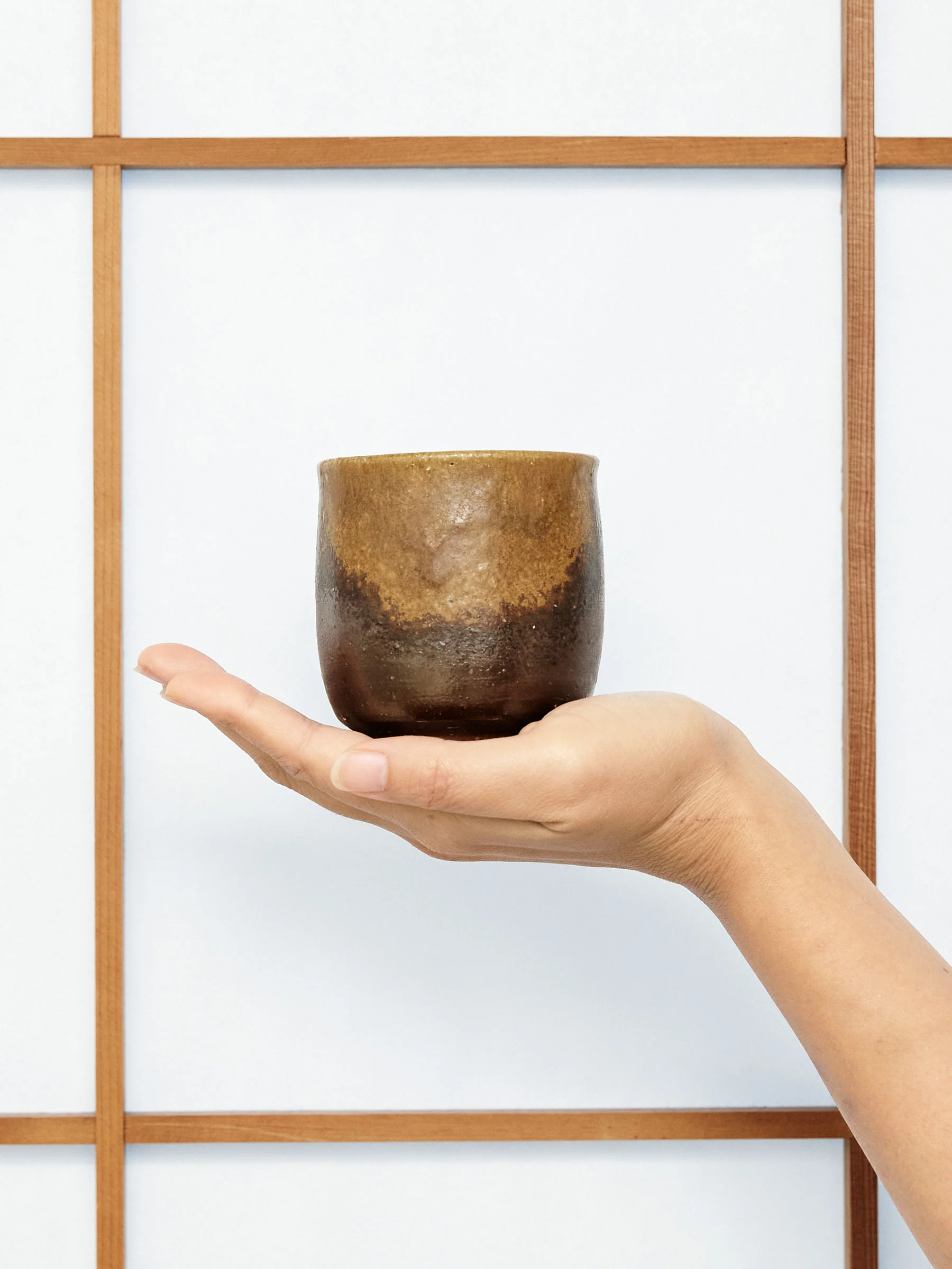 Goma Bizen Ware Yunomi Teacup Set by Hozan (7½ fl.oz/220ml) - Image 7