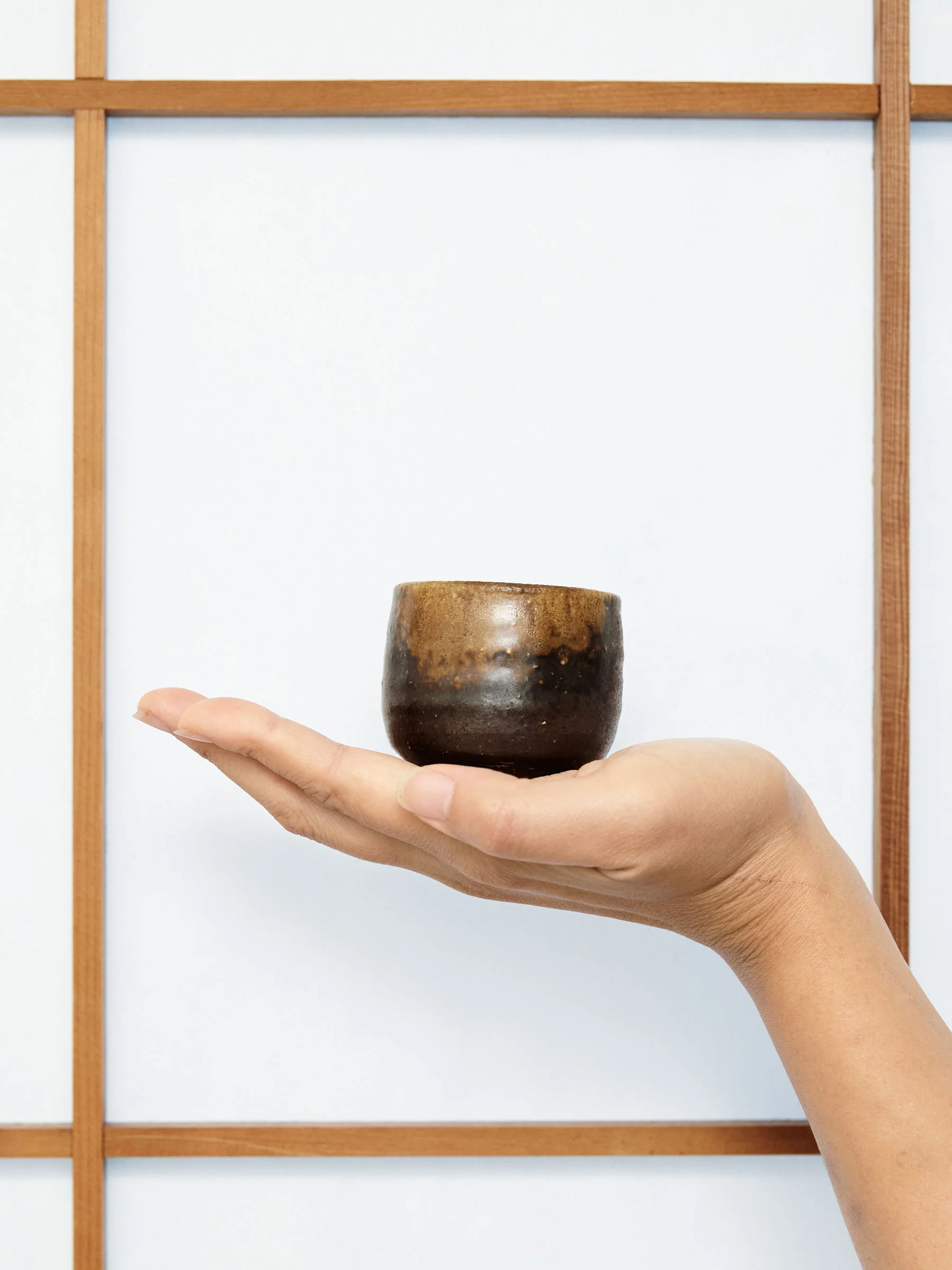 Goma Bizen Ware Japanese Sake Set by Hozan - Image 12