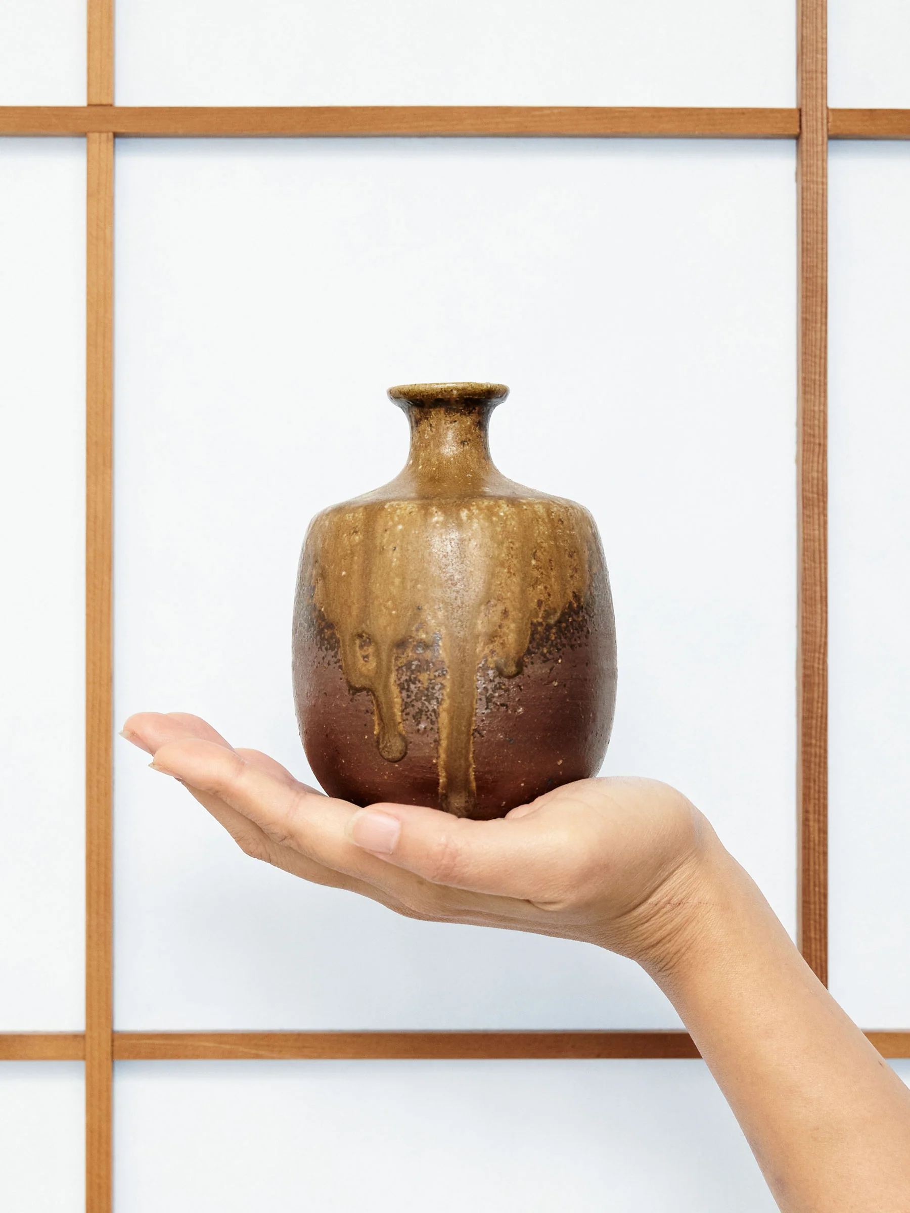 Goma Bizen Ware Japanese Sake Set by Hozan - Image 8
