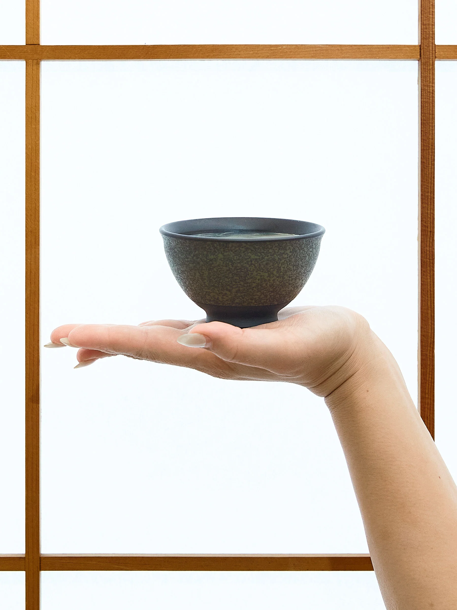 Green Tokoname Japanese Teapot Set by Ukou (12oz/360ml) - Image 15