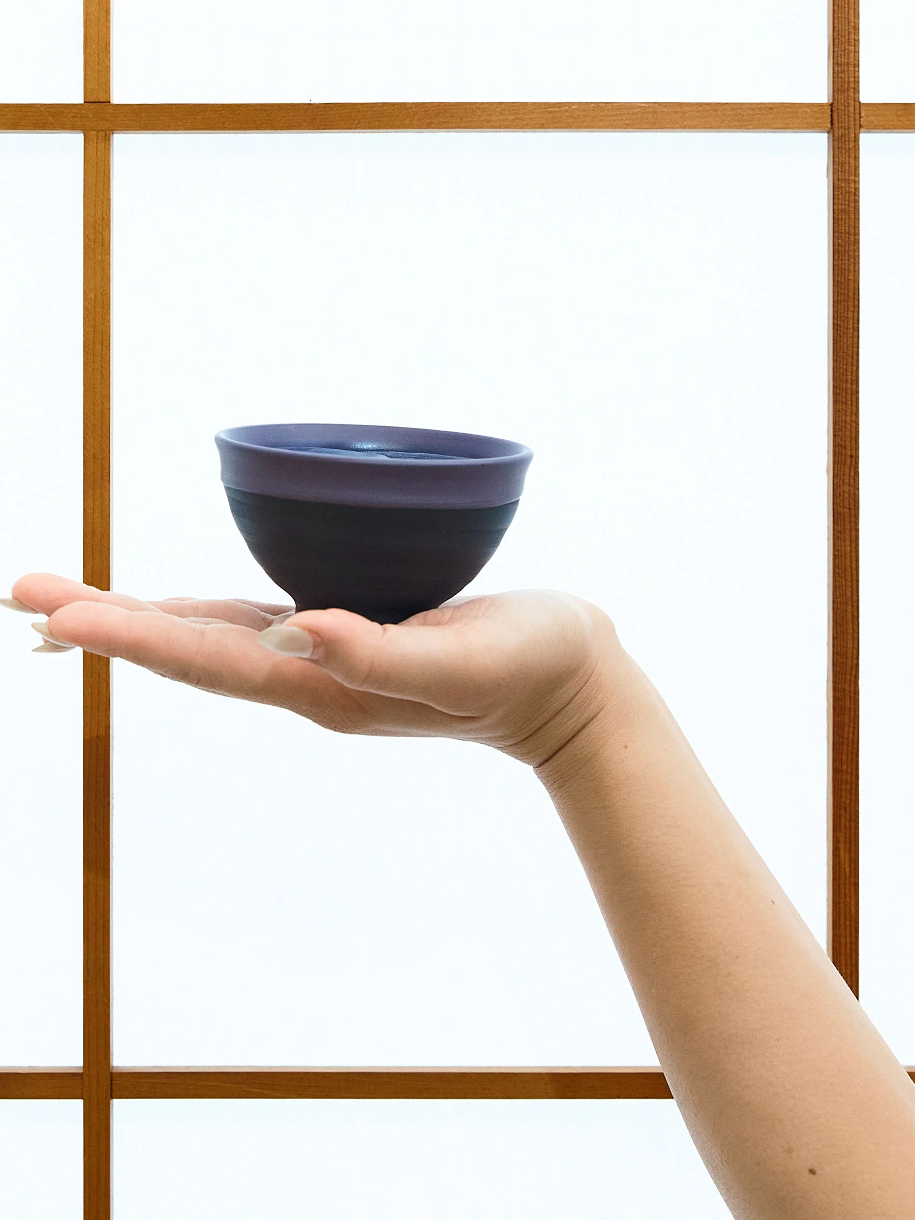 Purple Tokoname Japanese Teapot Set by Ukou (10.8oz/320ml) - Image 15