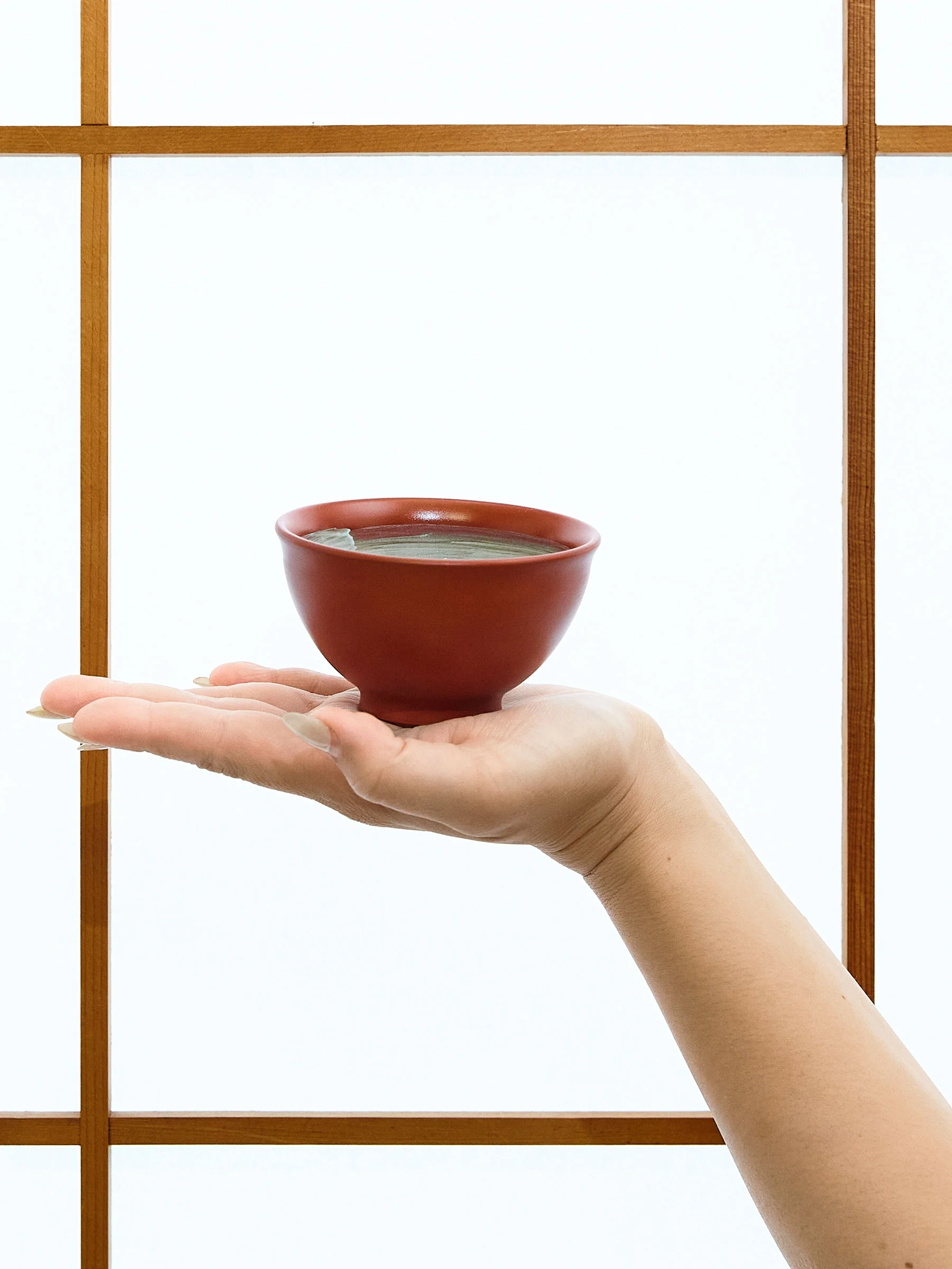 Red Clay Tokoname Japanese Teacup Set by Ukou (3½ fl.oz/100ml) - Image 5