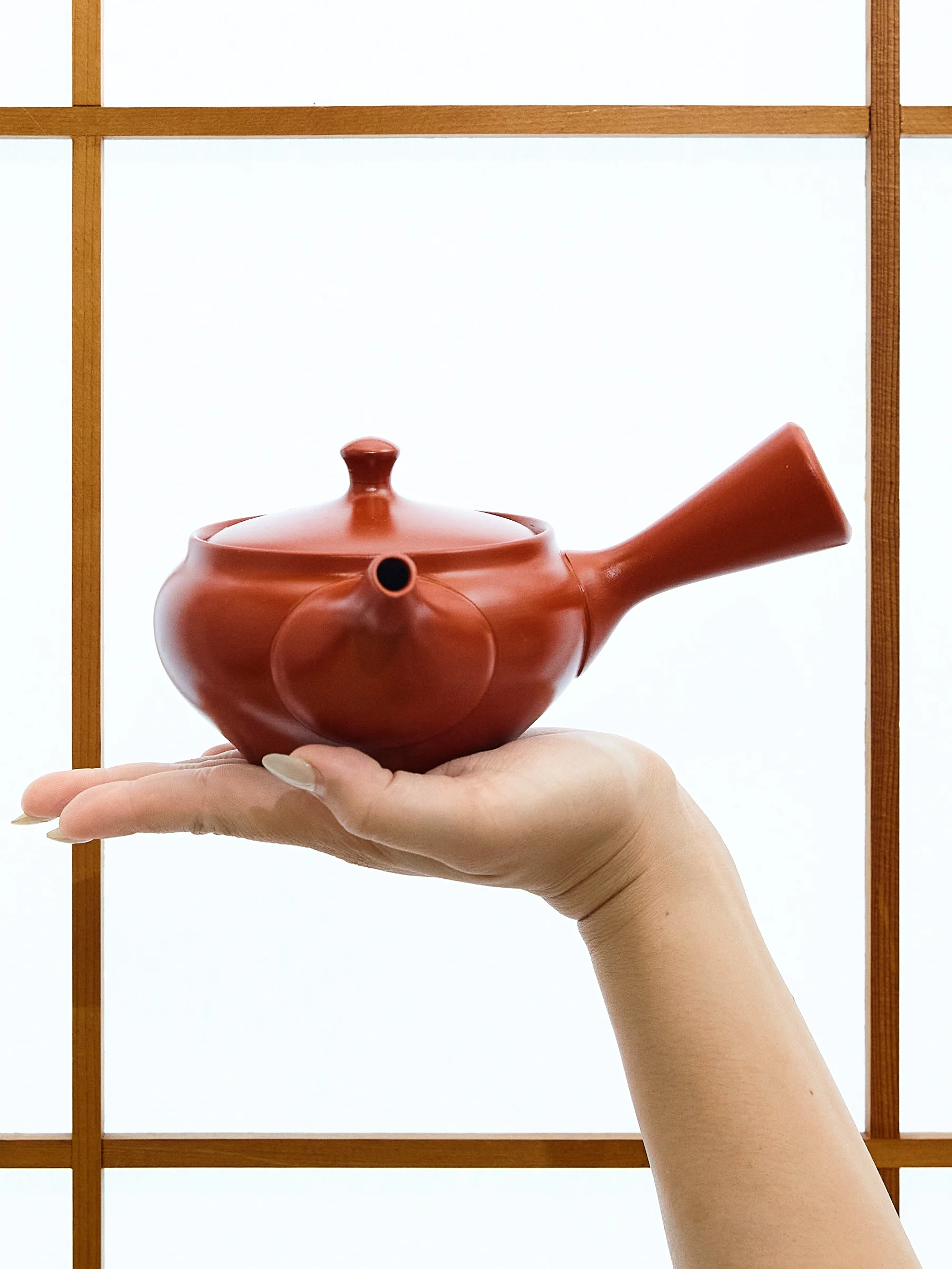 Red Clay Tokoname Japanese Teapot Set by Ukou (12oz/360ml) - Image 11