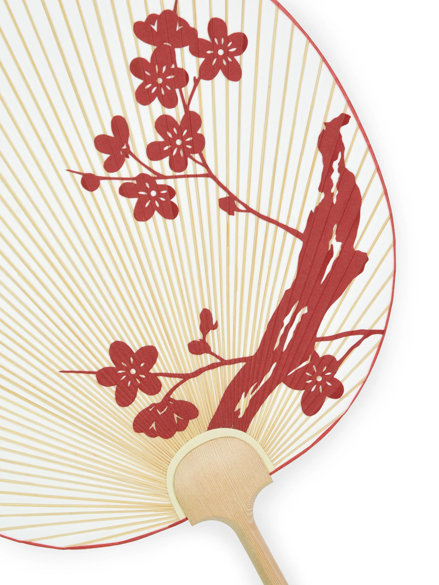 Ume Blossom Kyoto Uchiwa Fan - Image 3