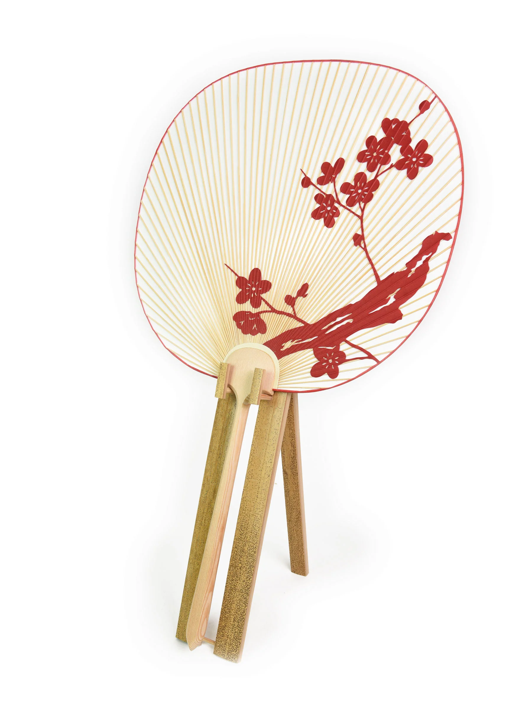 Ume Blossom Kyoto Uchiwa Fan - Image 4